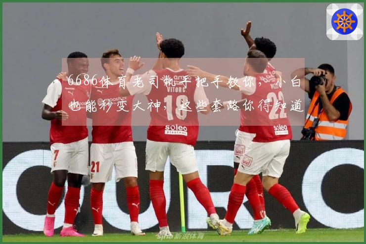 6686体育老司机手把手教你，小白也能秒变大神，这些套路你得知道！