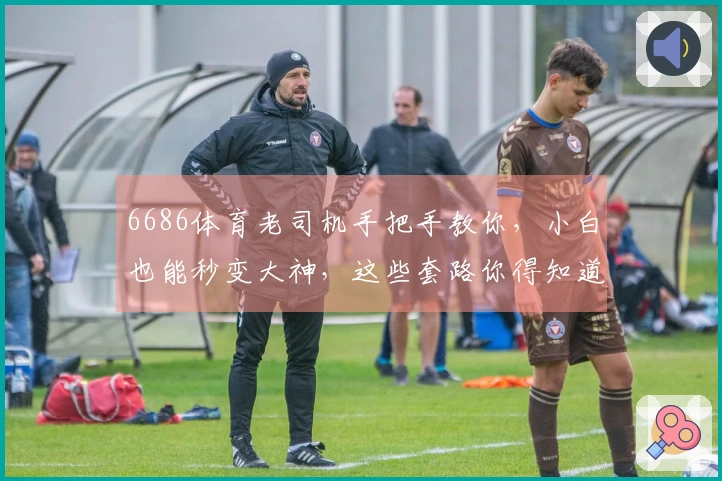 6686体育老司机手把手教你，小白也能秒变大神，这些套路你得知道！