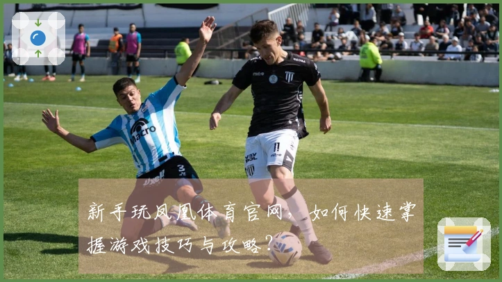 新手玩凤凰体育官网，如何快速掌握游戏技巧与攻略？