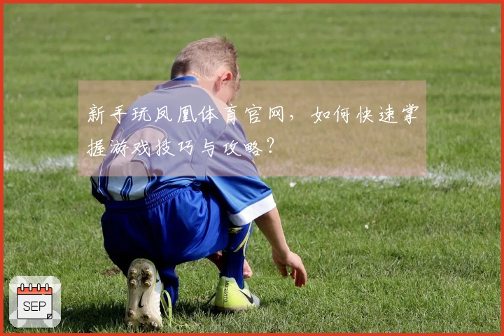 新手玩凤凰体育官网，如何快速掌握游戏技巧与攻略？